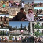مجموعه مستند سوریه، سرزمین شگفتی ها / در ریف حلب / فیلم برنامه ثریا / لینک مستقیم دانلود
