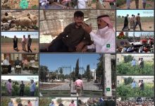 Photo of مجموعه مستند سوریه، سرزمین شگفتی ها / در ریف حلب / فیلم برنامه ثریا / لینک مستقیم دانلود
