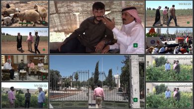 Photo of مجموعه مستند سوریه، سرزمین شگفتی ها / در ریف حلب / فیلم برنامه ثریا / لینک مستقیم دانلود